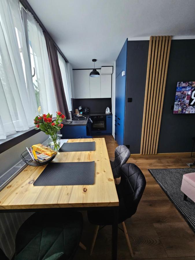 Apartament Leszczynska 29 Белско-Бяла Екстериор снимка